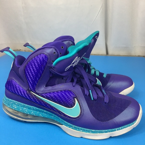 9.5 Nike Lebron  469764-500 Summit Lake Hornets main image 4